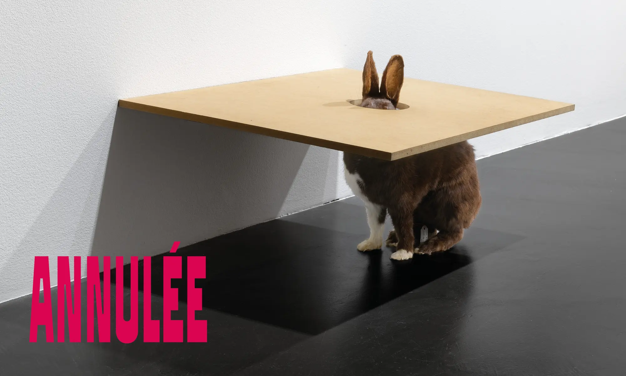 ANNULÉE // MDR : humour et dérision dans la collection du Frac Franche-Comté
