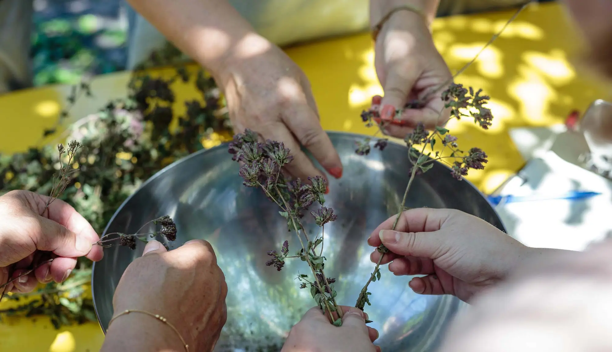 29 juillet - Confection d'un pot de sel aromatisé avec Cécile Billard