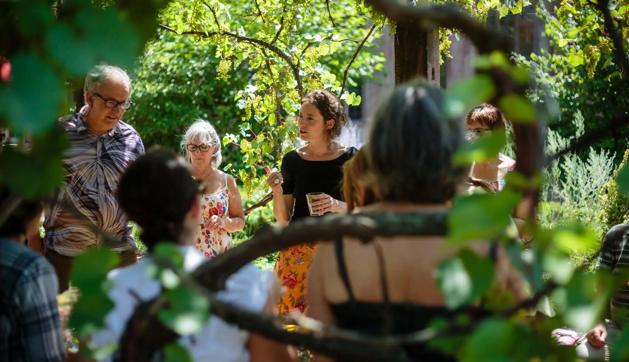 1er juillet - Initiation au pesto de plantes fraîches avec Cécile Billard