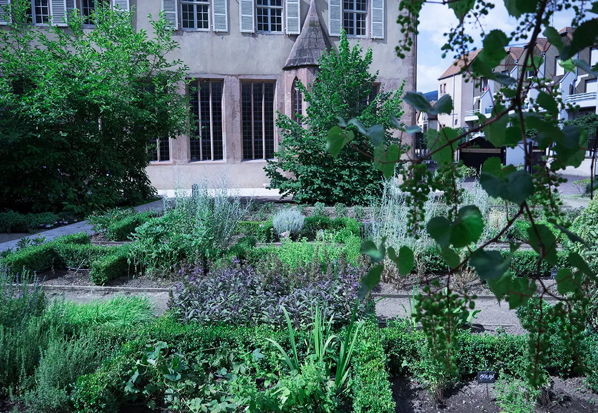 Jardin des Aromatiques