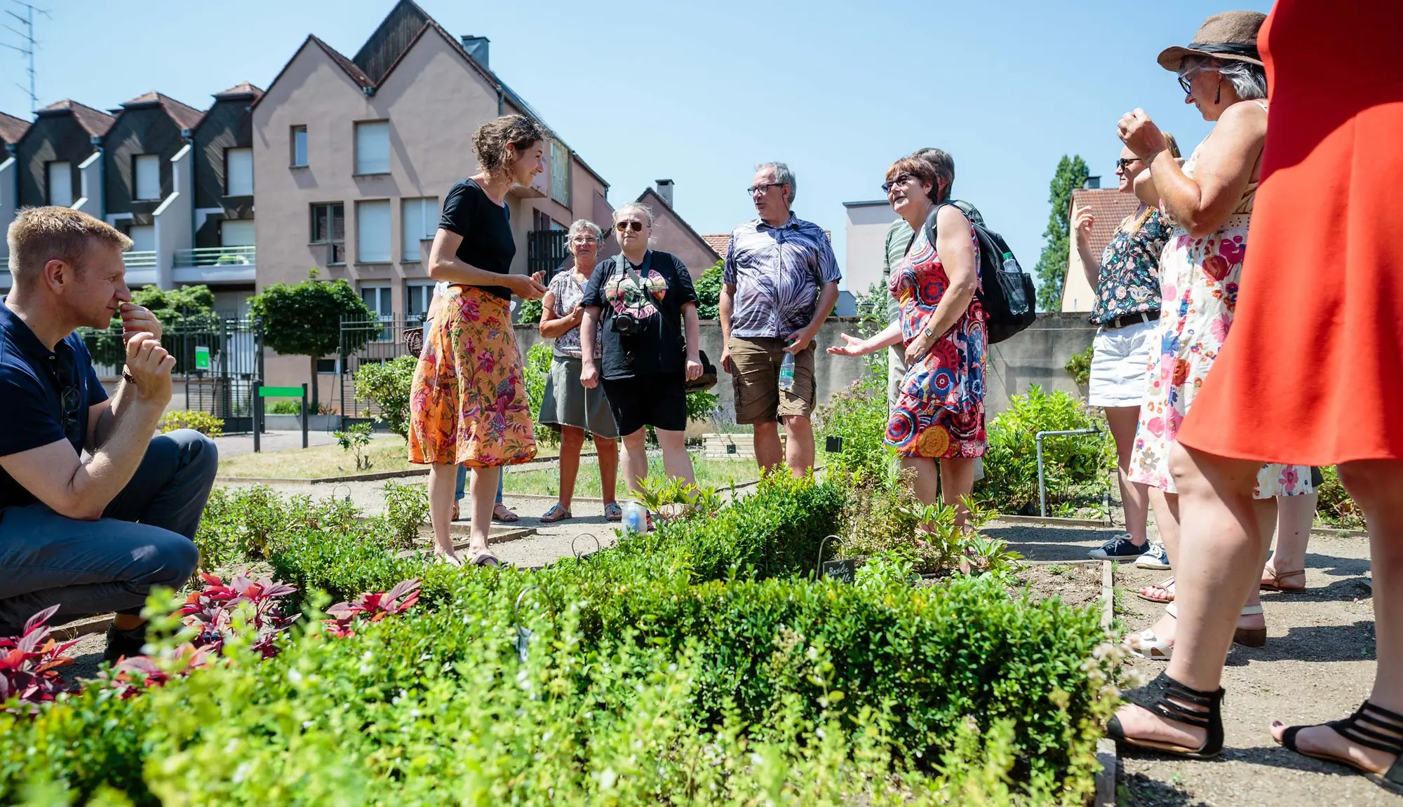 1er juillet - Initiation au pesto de plantes fraîches avec Cécile Billard