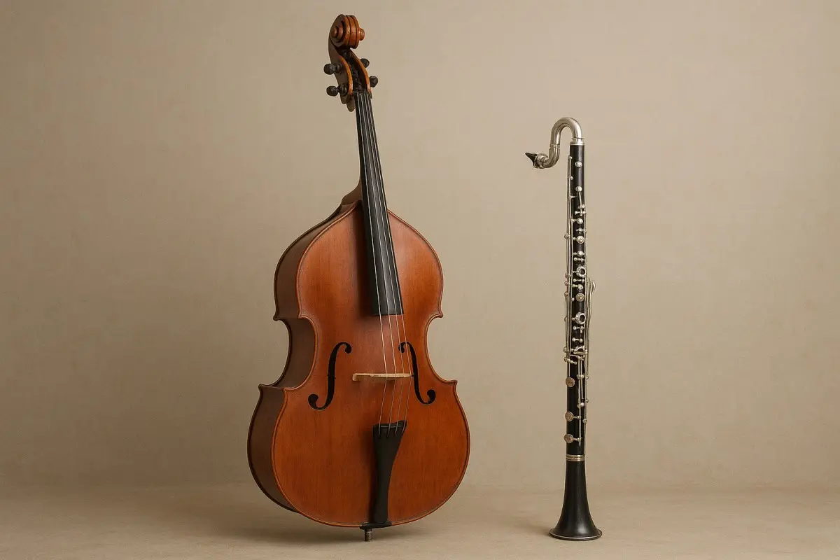 Concert-atelier #5 : CONTREBASSE ET CLARINETTE CONTREBASSE