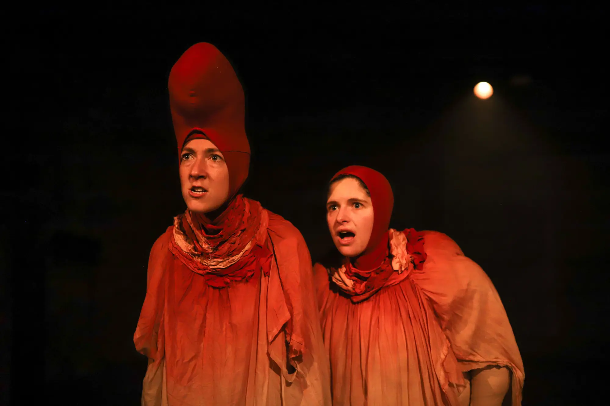 Sur cette image il y a deux personne regardant un point fixe, elles ont des costumes bouffant rouge 