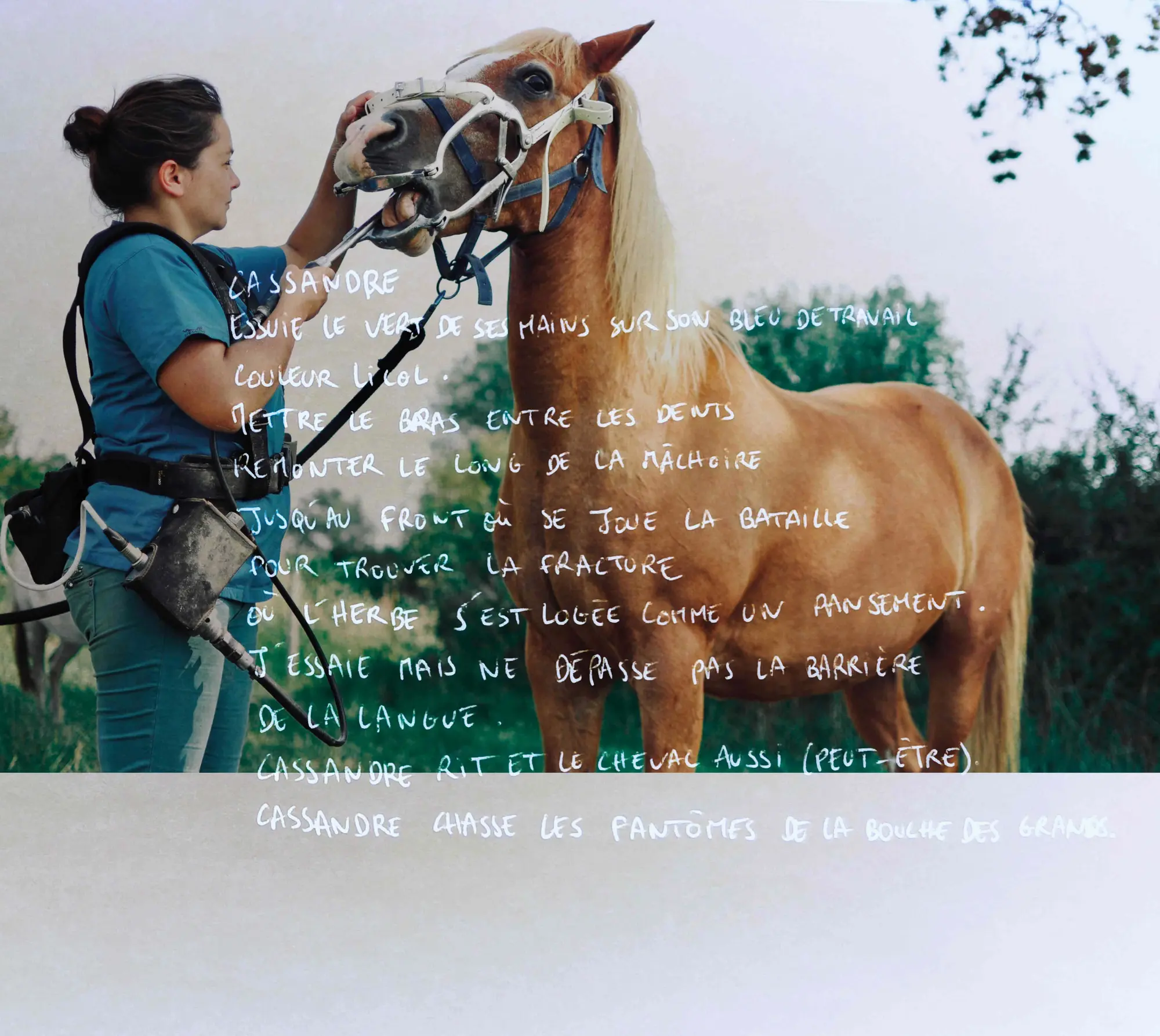 Camille
