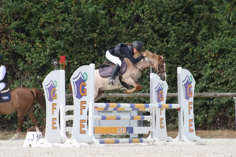 Haras