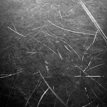 Image du spectacle Chorégraphier l'exposition de 