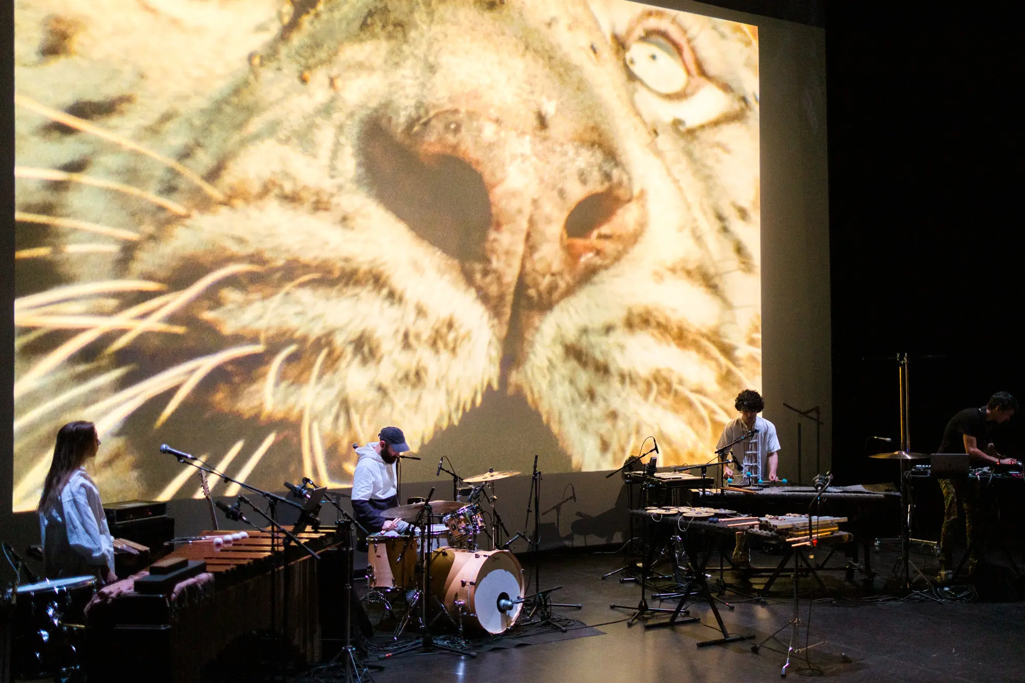 Image du spectacle La Fête sauvage de Lucie Antunes / Les Percussions de Strasbourg, Frédéric Rossif