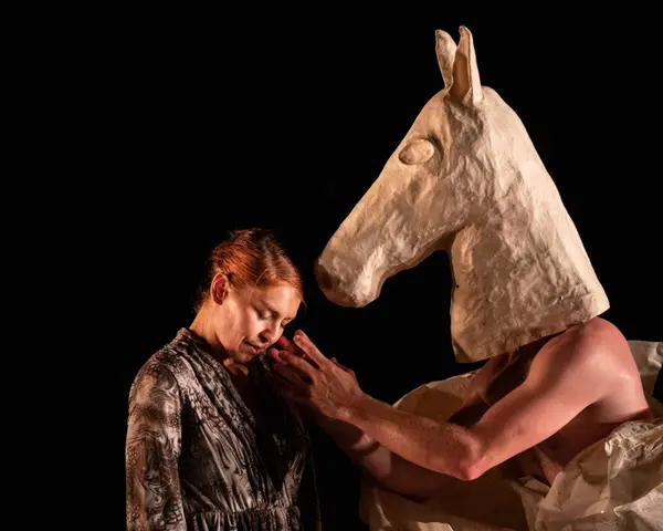 Image du spectacle Mazùt de Baro d’evel