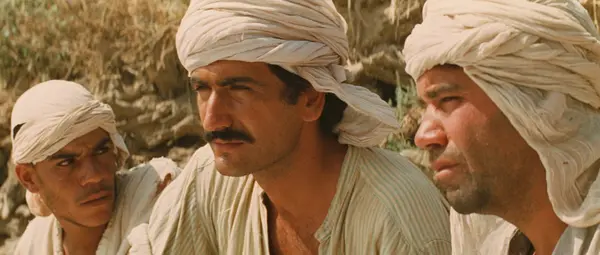 Image du spectacle Cycle cinéma retrouvé : Chronique des années de braise de de Mohammed Lakhdar Hamina