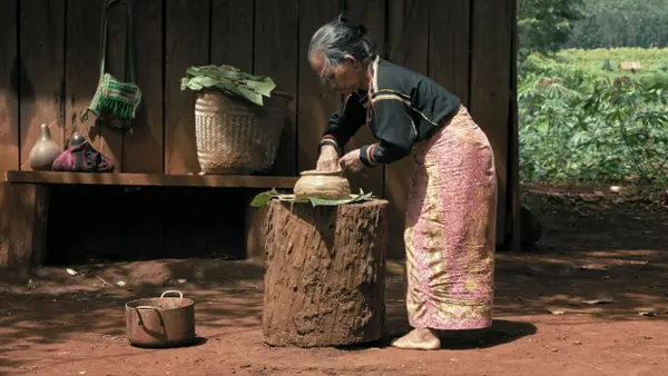 Image du spectacle Nous sommes les fruits de la forêt de de Rithy Panh