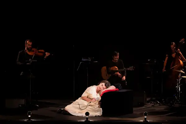 Image du spectacle Schubert in Love de Rosemary Standley & L’Ensemble Contraste