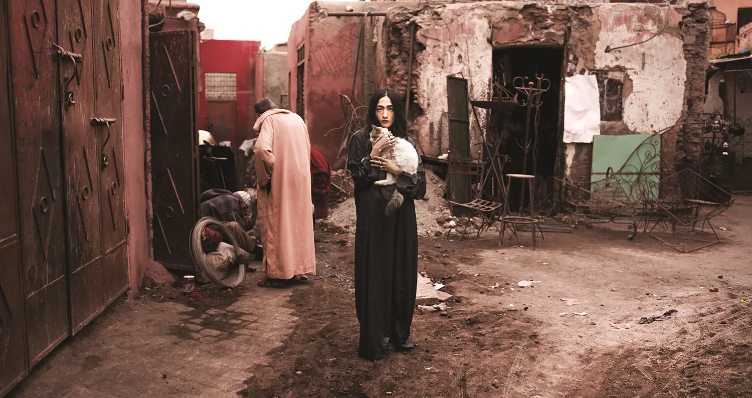 Album "Homeland"