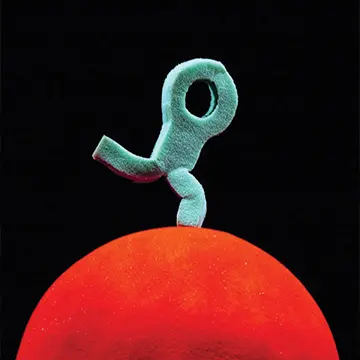 Cie La Balle rouge