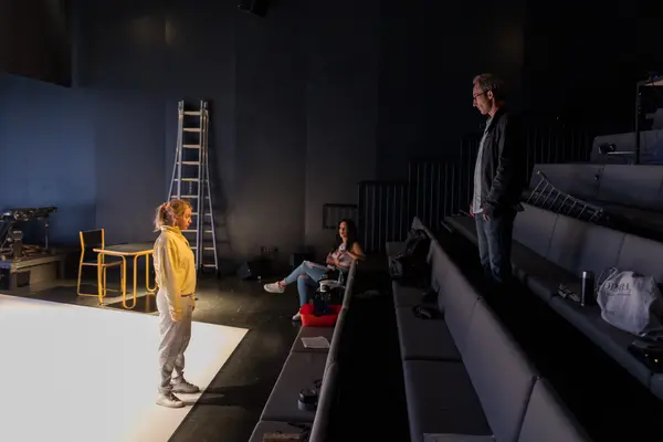 Image du spectacle Théâtre & Cinéma par…  de Ludivine Sagnier & Sébastien Davis