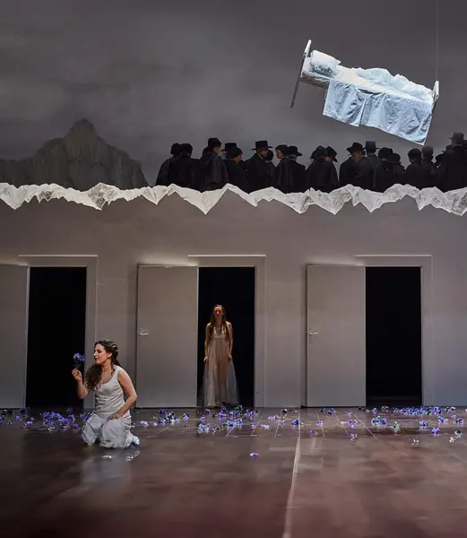 Image du spectacle La Somnambule (Metropolitan Opera) de de Vincenzo Bellini