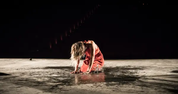 Pauline Bayle / Compagnie À Tire-d’aile