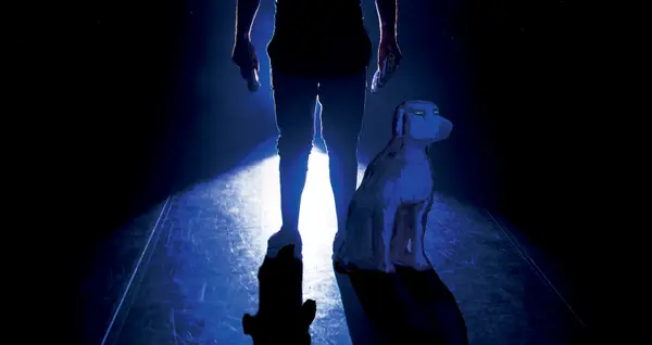 Image du spectacle Chien bleu de Mounawar