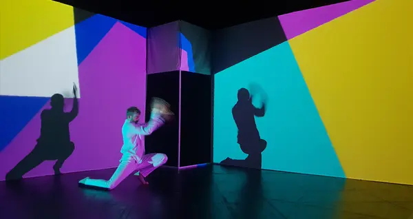 Image du spectacle Métamorphone de Compagnie Sine Qua non Art