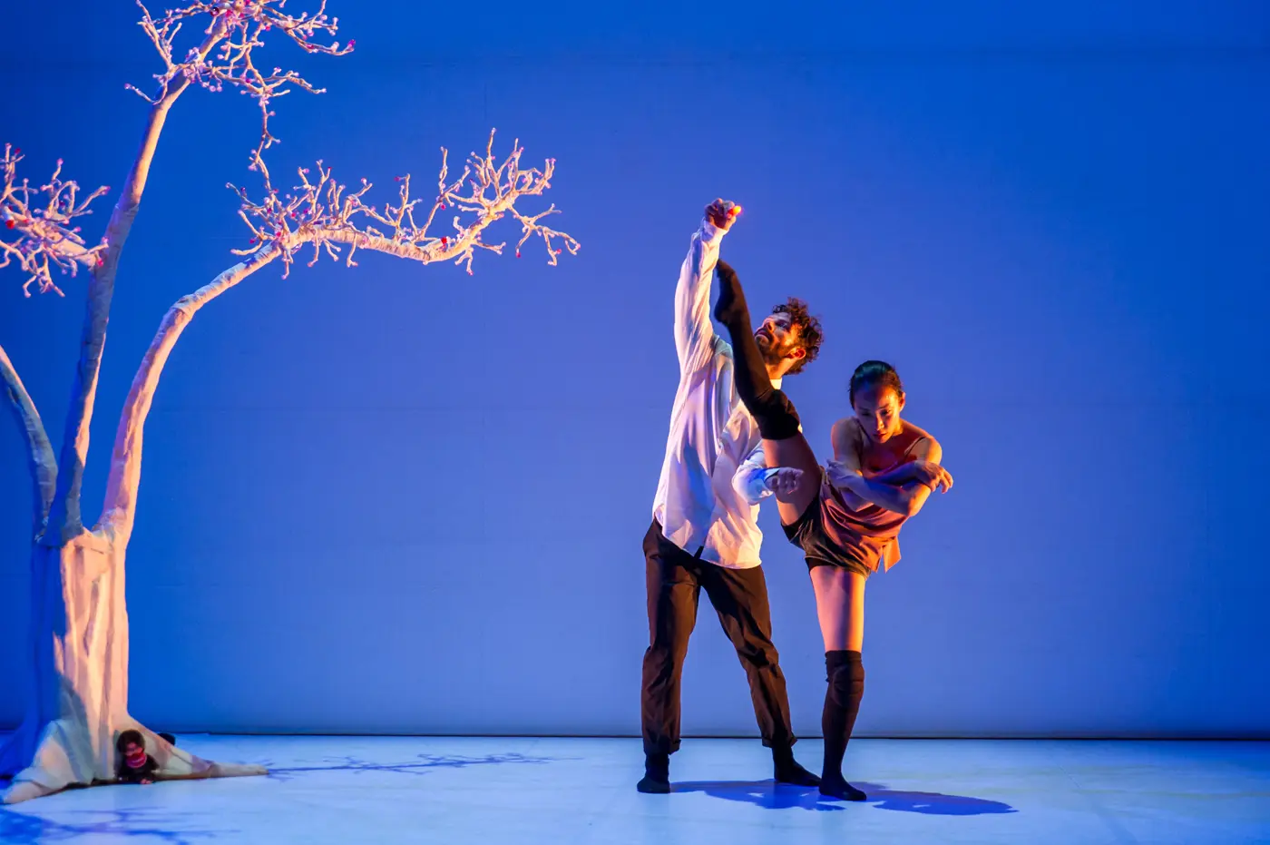 Image du spectacle W.A.M. - We are Monchichi de Compagnie Wang Ramirez