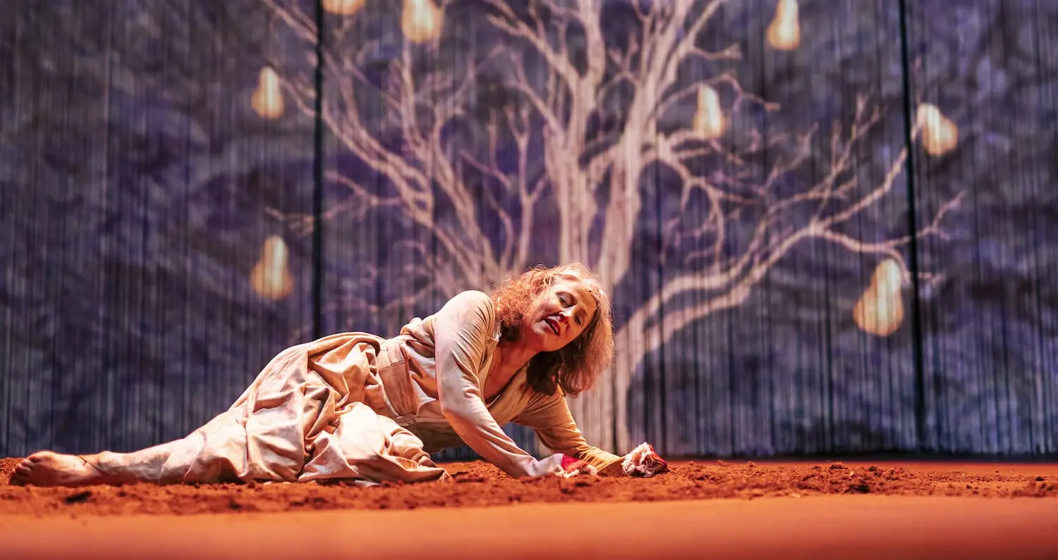 Image du spectacle LA JEUNE FILLE SANS MAIN de Les frères Grimm / Compagnie du Loup-Ange