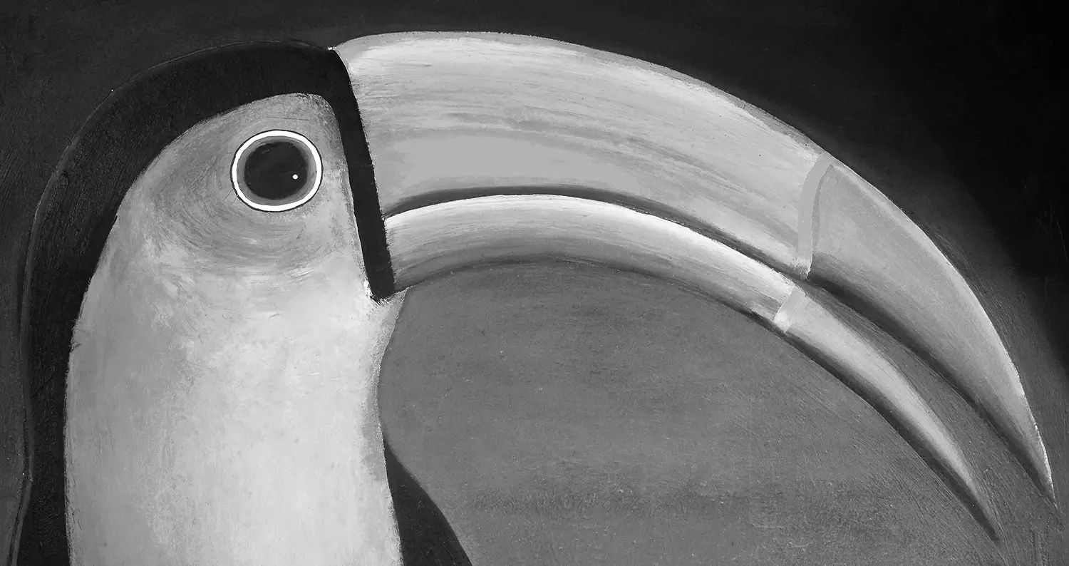 Image du spectacle Le Carnaval des animaux sud-américains de Ensemble Almaviva