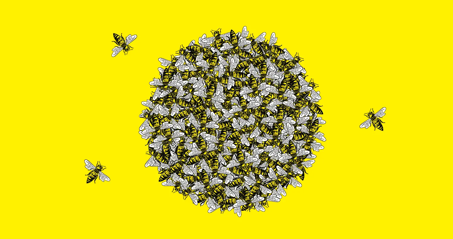 Image du spectacle Présentation de saison 2016/2017 de + Apéro + Repas + DJ set