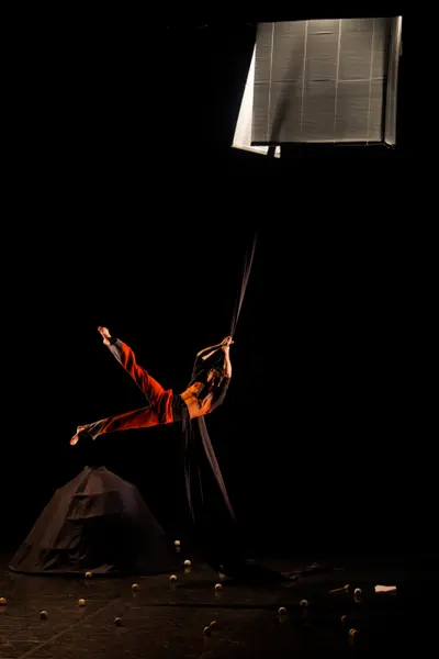 Image du spectacle Famille Choisie de Compagnie Carré Curieux, cirque vivant !