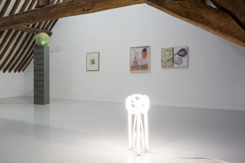 Julien Monnerie, oIoIoI, 2020, Timothée Calame, Old Models: Nutrition, Sexualité, 2022, Fred Deux, L’avaleur, 1975, Megan Rooney, Kissing with your pants off, 2017 et Carlotta Bailly-Borg, Monk (3), 2022, courtesy des artistes et Collection FRAC Île-de-France, vue de l’exposition La Chambre à échos : Vieilles coques et jeunes récifs, La Ferme du Buisson, 2024 l