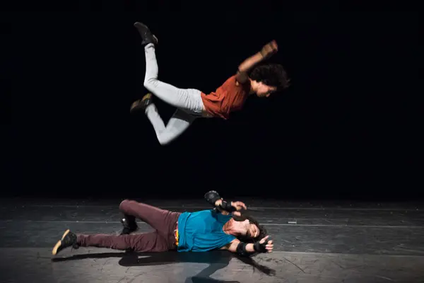 Image du spectacle Zoog de Amir & Hemda