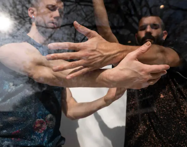 Photo illustrant le spectacle The Quiet Magic