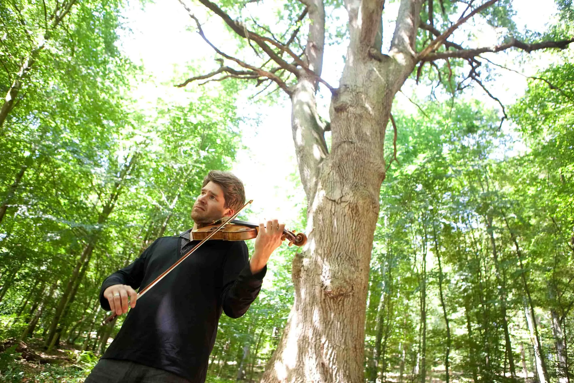 Festival des Forêts / Bains de Forêt Musicaux