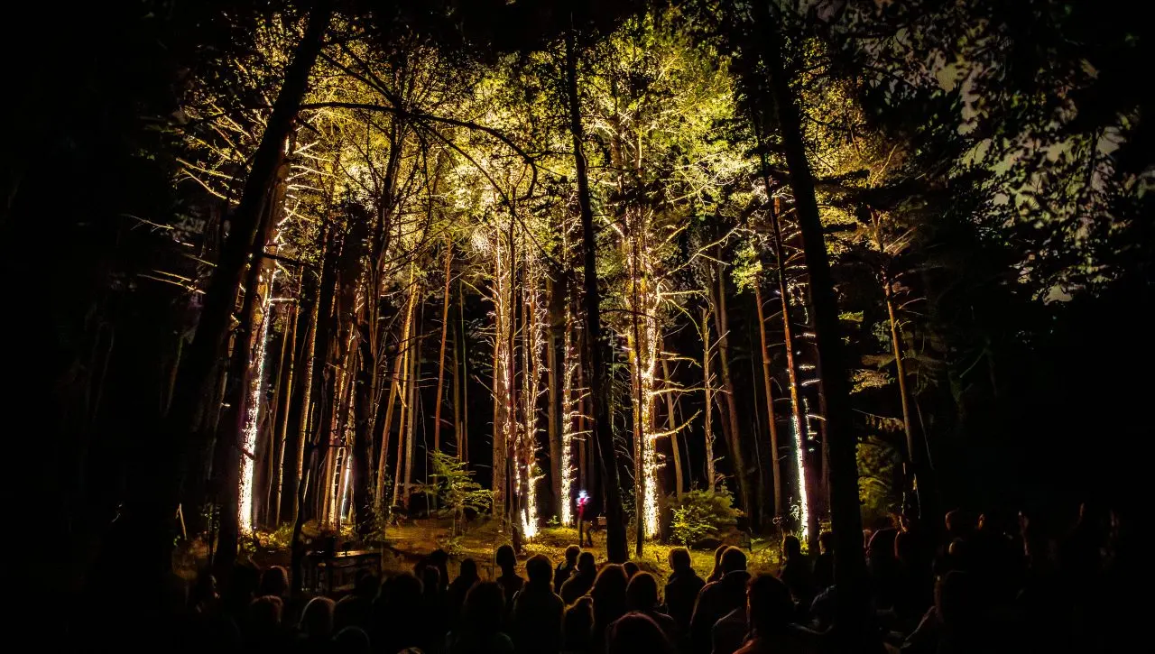 S’Enforester à Saint-Médard
