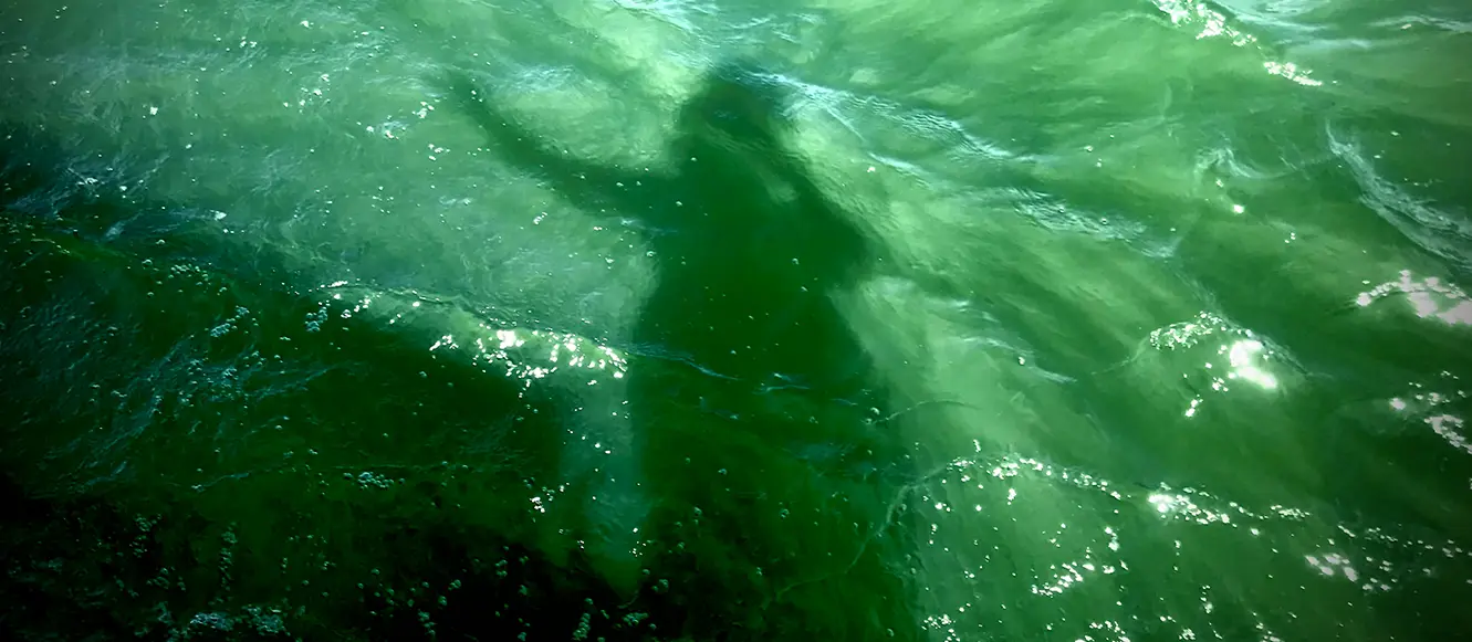 "I am the River and the River is me" (Maori saying)
