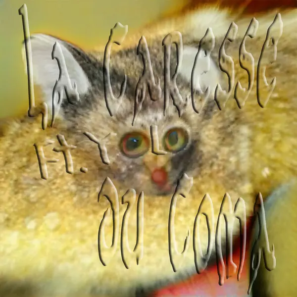YOLO2_c_Anne_Lise_Le_Gac