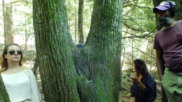 © CHŒUR TAC-TIL, FORÊT DE LA SAINTE BAUME