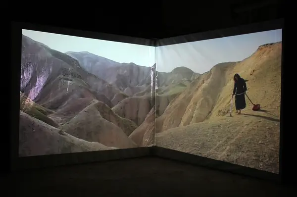 Vacuum by Raeda Sa'adeh, Diffusion, Dream City 2010, Tunis.
