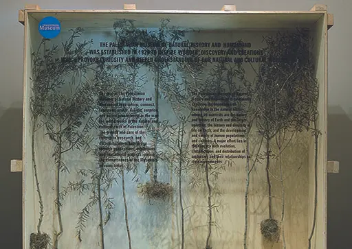 Olive Gathering by Khalil Rebah, Dream projects, Dream City Festival 2023, Tunis.