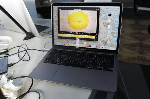 Atelier création d'un film d'animation avec Sentiers-Massarib à L'Art Rue, mars 2022