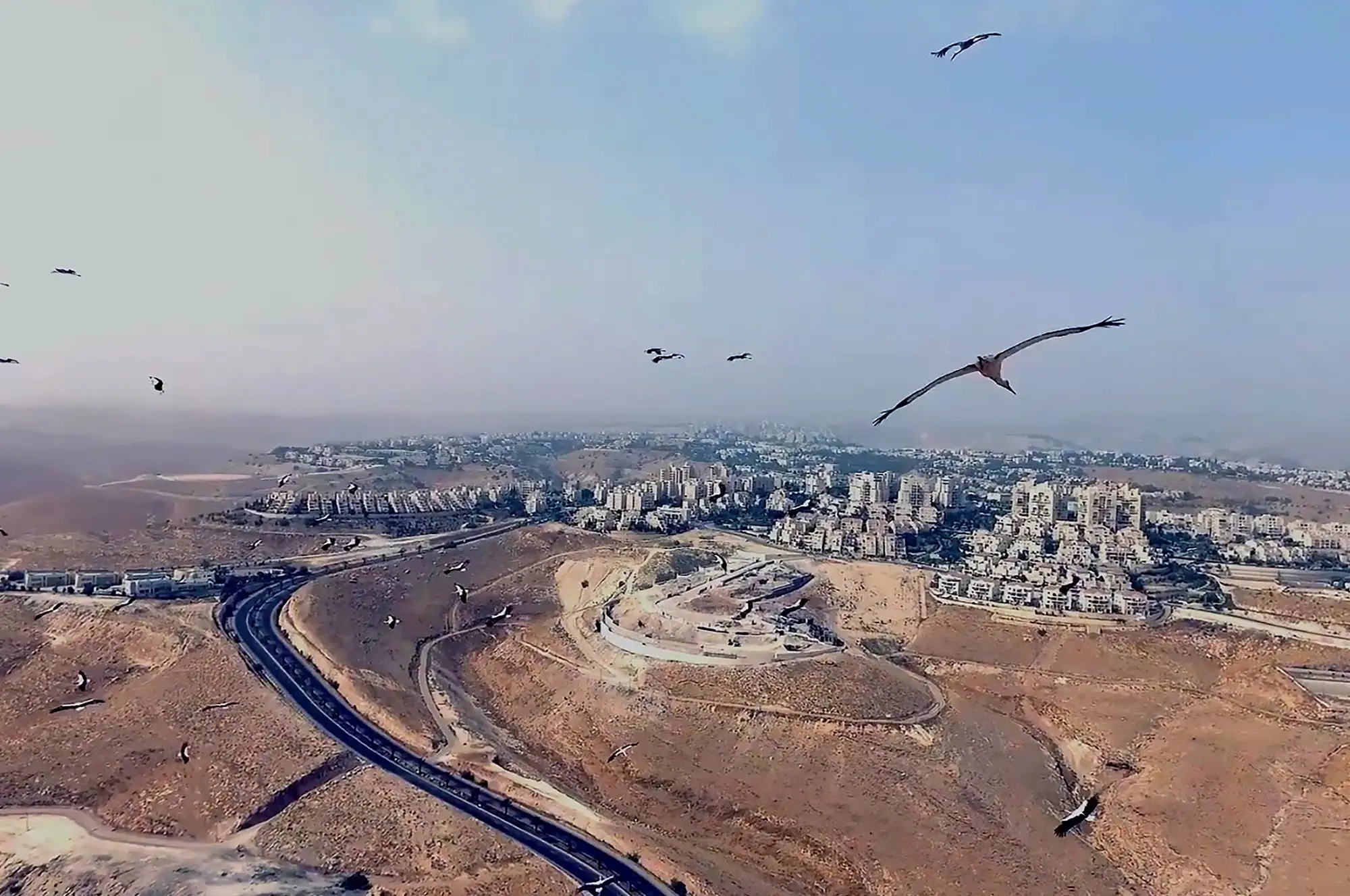 As Birds Flying de Heba Y. Amin, DREAM VIDEO, Dream City 2022