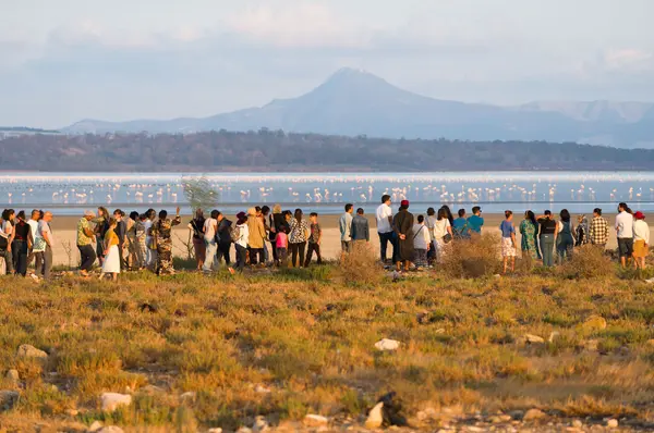 A Pact with Waters - Commoning with Sejoumi by Natural Contract Lab, Creations, Dream City Festival 2023, Tunis.