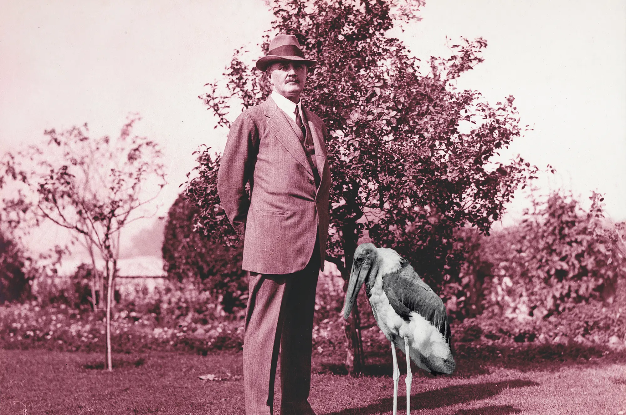 The General’s Stork de Heba Y.Amin, DREAM VIDEO, Dream City 2022