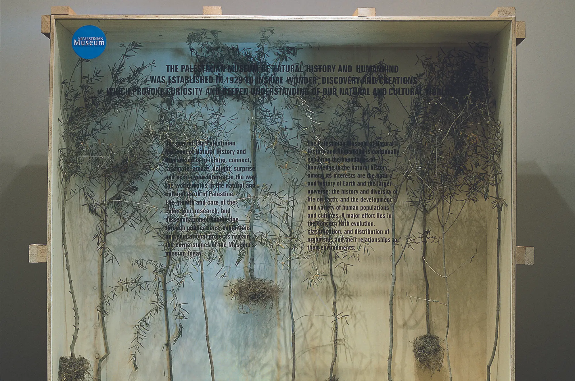 Olive Gathering by Khalil Rebah, Dream projects, Dream City Festival 2023, Tunis.