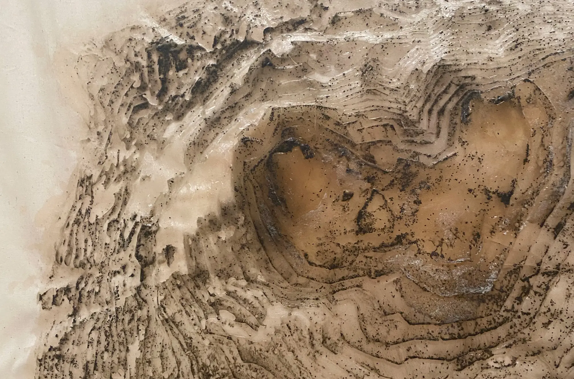 La vertigineuse histoire d'Orthosia