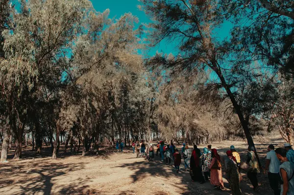 A Pact with Waters - Commoning with Sejoumi by Natural Contract Lab, Creations, Dream City Festival 2023, Tunis.