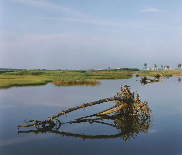 © Naoya Hatakeyama