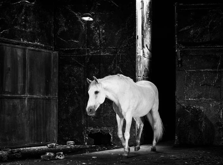 FALAISE © François Passerini