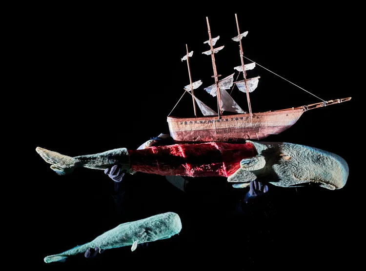 MOBY DICK