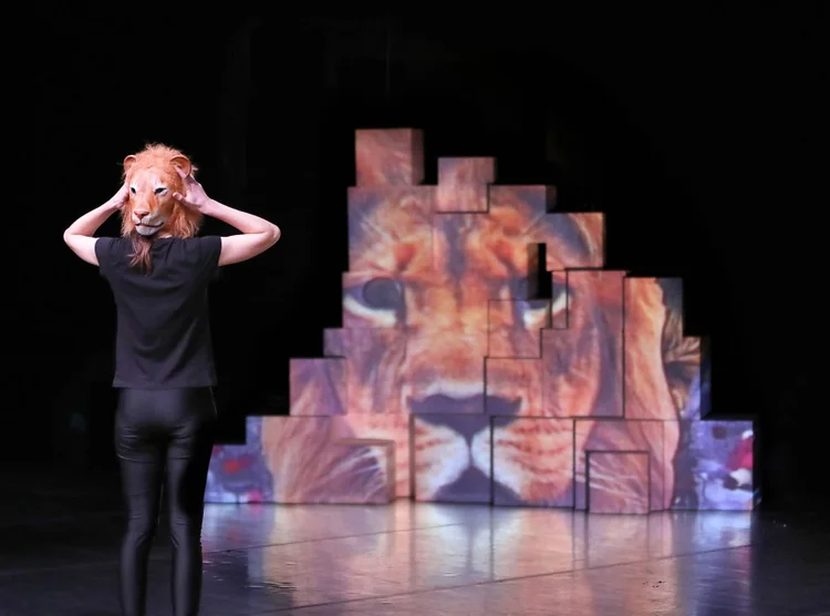 DIOTIME ET LES LIONS-visuel