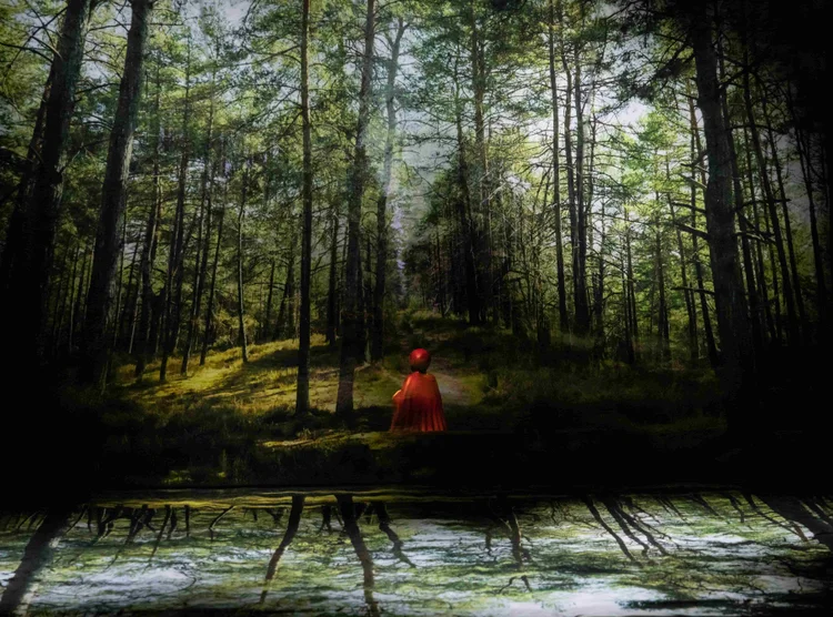 Le petit chaperon rouge