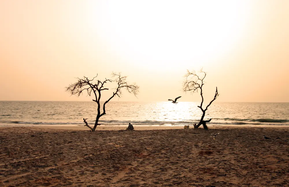 Fajar signifie Aube en wolof, langue nationale du Sénégal